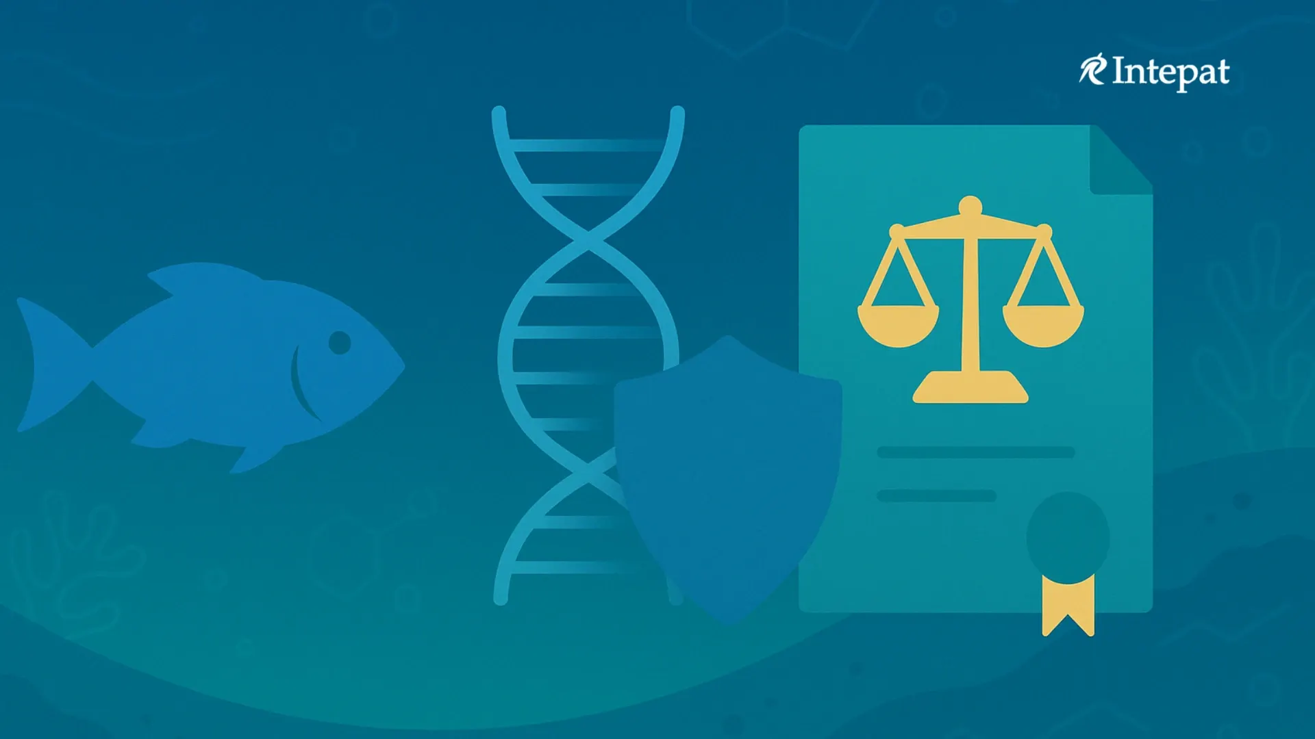 Intellectual Property Rights and Marine Biodiversity