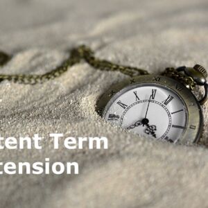 patent-term-extension