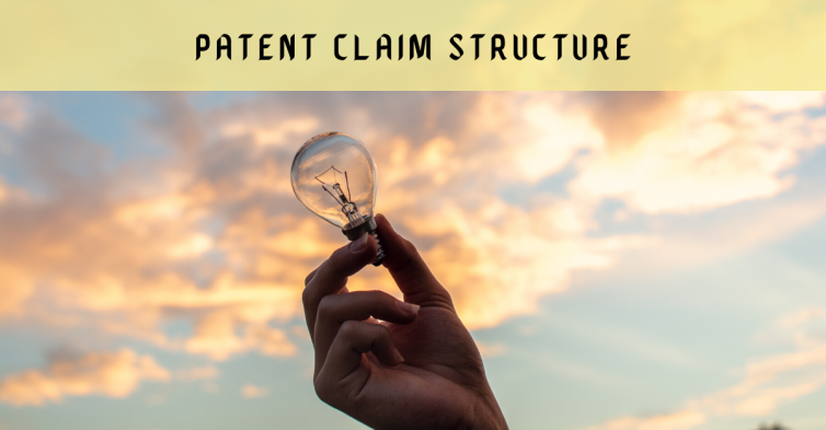 Patent Claims, Structure, Types, India