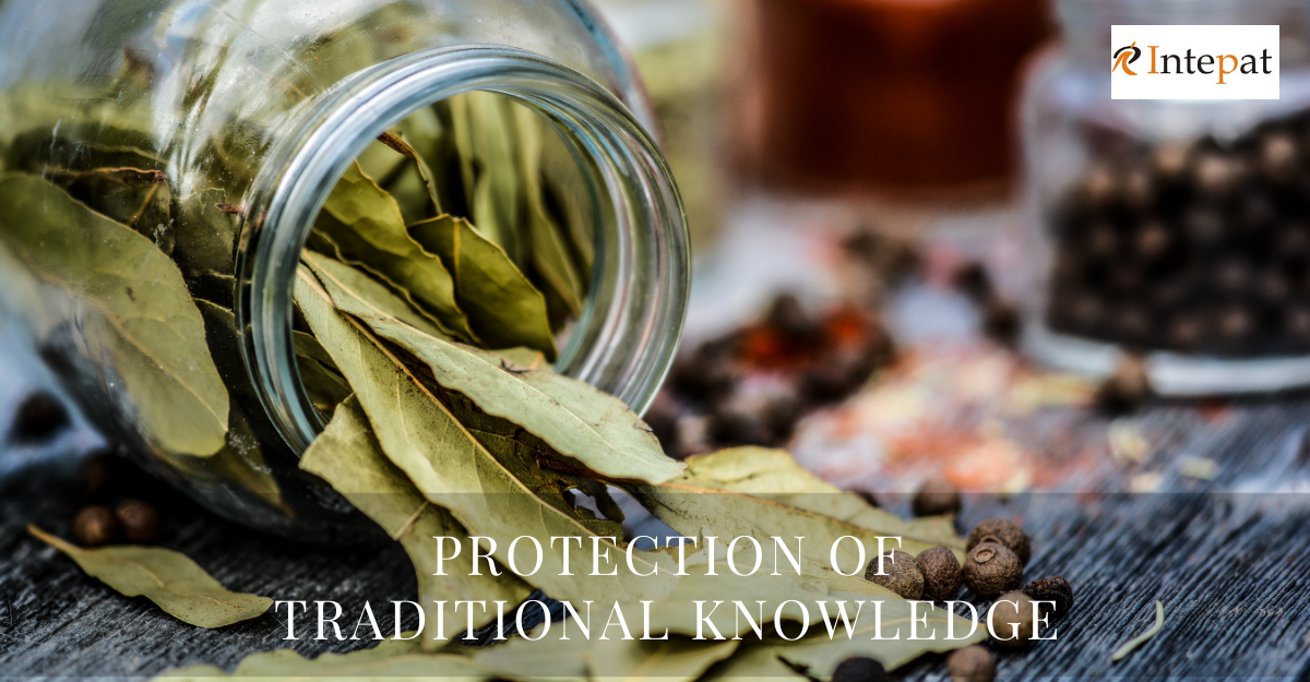 protection-of-traditional-knowledge-exists-in-biodiversity